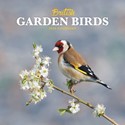 British Garden Birds Mini Wall Calendar 2025 (PFP)