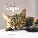 Cat Naps Mini Wall Calendar 2025 (PFP)