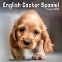 English Cocker Spaniel Puppies Mini Wall Calendar 2025 (PFP)