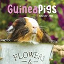 Guinea Pigs Mini Wall 2025 (PFP)