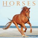 Horses Mini Wall Calendar 2025 (PFP)