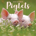 Piglets Mini Wall 2025 (PFP)