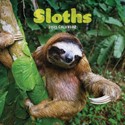 Sloths Mini Wall 2025 (PFP)