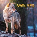 Wolves Mini Wall 2025 (PFP)