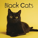 Black Cats Wall Calendar 2025 (PFP)