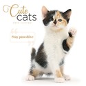 Cute Cats Wall Calendar 2025 (PFP)