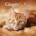 Ginger Cats Wall Calendar 2025 (PFP)