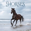 Horses Wiro Wall Calendar 2025 (PFP)