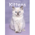 Kittens A5 Diary 2025 (PFP)