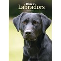 Labrador Retrievers Black A5 Diary 2025 (PFP)