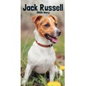Jack Russell Terriers Slim Diary 2025 (PFP)