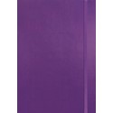 Fashion Diary Purple Soft Touch A5 Diary 2025 (PFP)