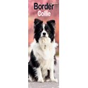 Border Collie Slim Calendar 2025 (PFP)