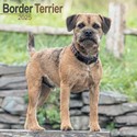 Border Terrier Wall Calendar 2025 (PFP)
