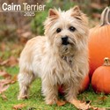 Cairn Terrier Wall Calendar 2025 (PFP)