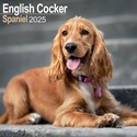 English Cocker Spaniel Wall Calendar 2025 (PFP)