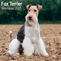 Wirehaired Fox Terrier Wall Calendar 2025 (PFP)