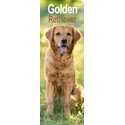 Golden Retriever Slim Calendar 2025 (PFP)