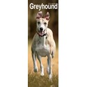 Greyhound Slim Calendar 2025 (PFP)