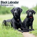 Labrador Retriever Black Wall Calendar 2025 (PFP)