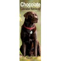Labrador Retriever Chocolate Slim Calendar 2025 (PFP)