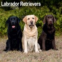 Labrador Retrievers Wall Calendar 2025 (PFP)