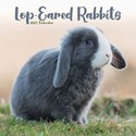 Lop eared Rabbits Wall Calendar 2025