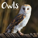 Owls Sunday Start Wall Calendar 2025