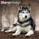 Siberian Husky Wall Calendar 2025 (PFP)
