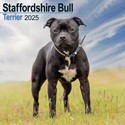Staffordshire Bull Terrier Wall Calendar 2025 (PFP)