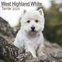 West Highland White Terrier Wall Calendar 2025 (PFP)