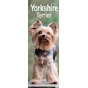 Yorkshire Terrier Slim Calendar 2025 (PFP)