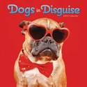Dogs in Disguise Wall Calendar 2025 (PFP)
