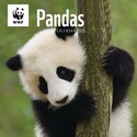 WWF Pandas Wall Calendar 2025 (PFP)