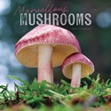 Marvellous Mushrooms Wall Calendar 2025 (PFP)