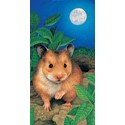 Card - Hamster Slimline