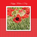 Mother's Day Card - Poppies