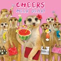  Pet Pawtrait Card - Cheers Meer Dear! (Birthday Card)