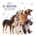  Pet Pawtrait Card - Dog Song (Birthday Card)