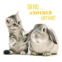  Pet Pawtrait Card - Grey Hares (Birthday Card)
