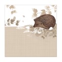 RSPB Nature Trail Card - Hedgehog