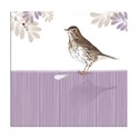 RSPB Nature Trail Card - Song Thrush