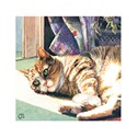 Cats By Chrissie Snelling Card - Sunny Days