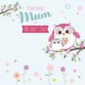 Mother's Day Card - Owls & Flowers