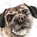 Puppy Dog Eyes Card Collection - Border Terrier Buster