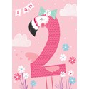 Rainbow Pops Card Collection - Flamingo (Age 2)