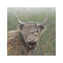Enchanted Wildlife Card - Highland Cow