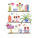 Marie Curie Happy Days Card Collection - Pretty Shelves