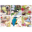 Garden Birds - 1000 Piece Jigsaw Puzzle