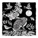 RSPB Natures Print Card - Hare & Moon